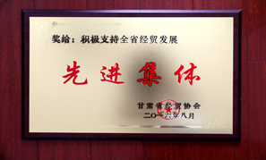 甘肃宝徽实业集团先进集体